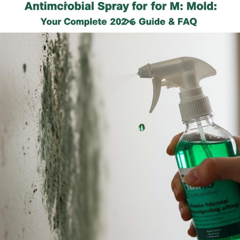 Antimicrobial Spray for Mold: Your Complete 2026 Guide & FAQ