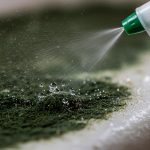 Antimicrobial Spray for Mold: Does it Really Work? (2026 Guide)