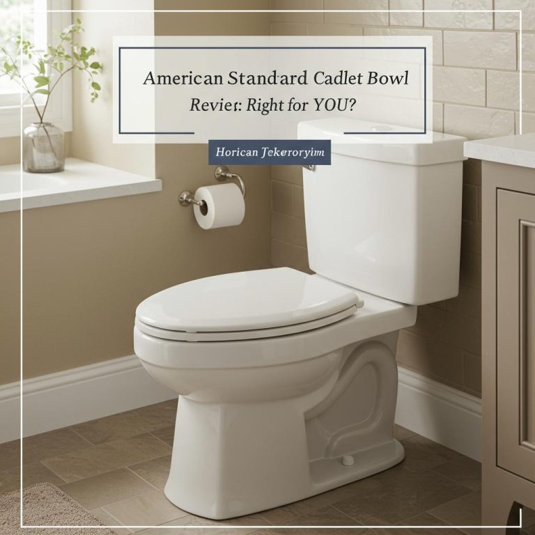 American Standard Cadet Toilet Bowl Review: Is it Right for YOU?