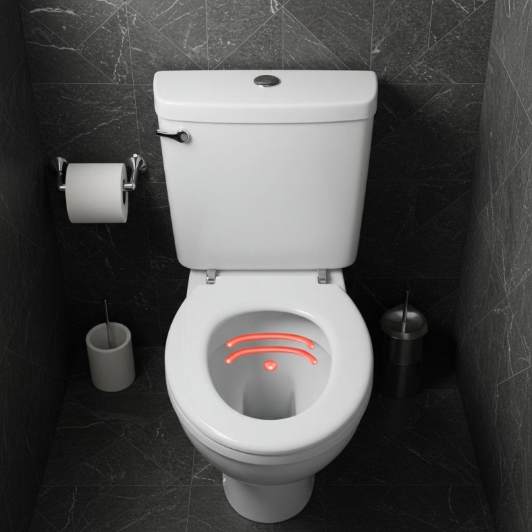 The 5 Best Heated Toilet Seats of 2026 (For Ultimate Winter Comfort)