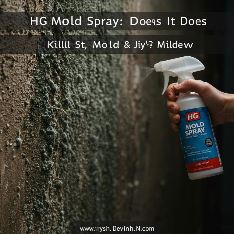HG Mold Spray: Does It Really Kill Mold & Mildew? (2026 Review)