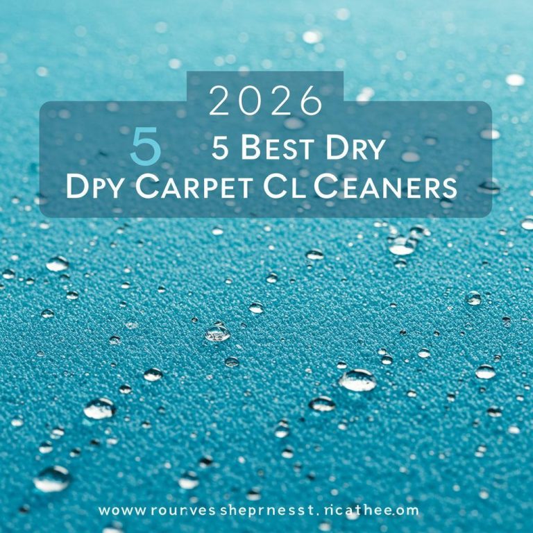 5 Best Dry Carpet Cleaners of 2026 (Tested and Reviewed)