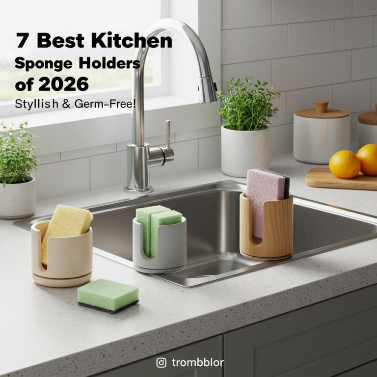 7 Best Kitchen Sponge Holders of 2026: Stylish & Germ-Free!