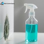 Mold Control Spray: The Ultimate Guide to Killing Mold Safely & Effectively (2026)